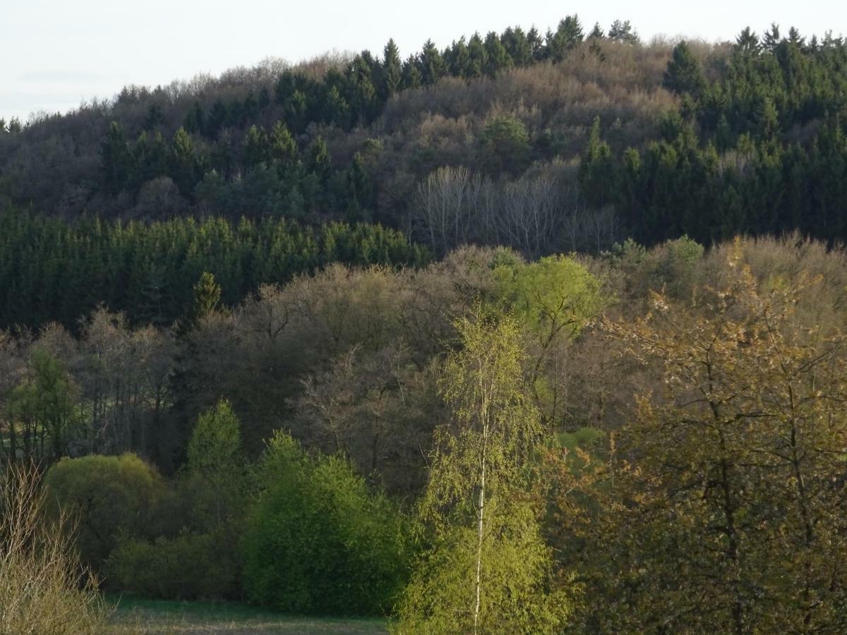 Apartmán Haus Am Sonnenberg Ulmen Exteriér fotografie
